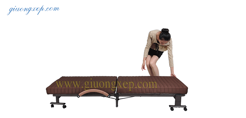 giường gấp nikita hq90