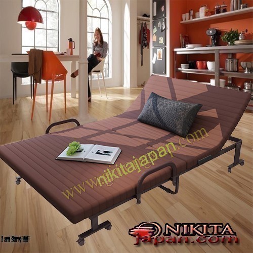  GIƯỜNG GẤP NÂNG ĐẦU HQ-120